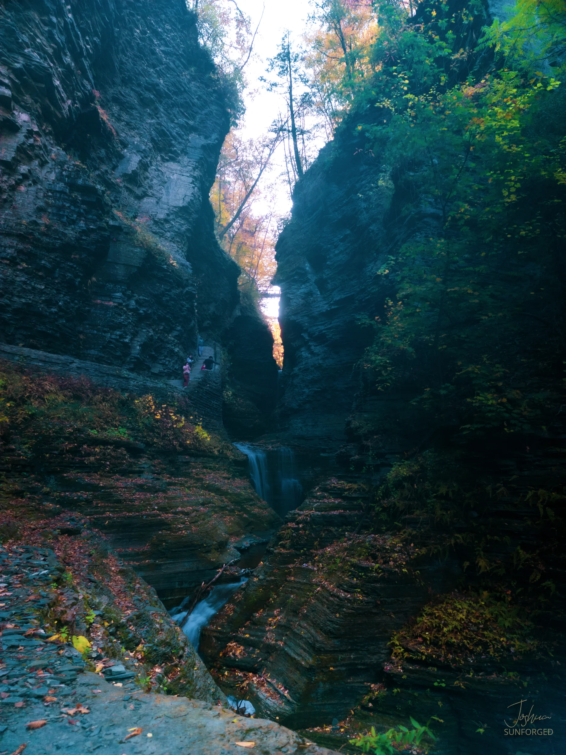 Clark Reservation State Park