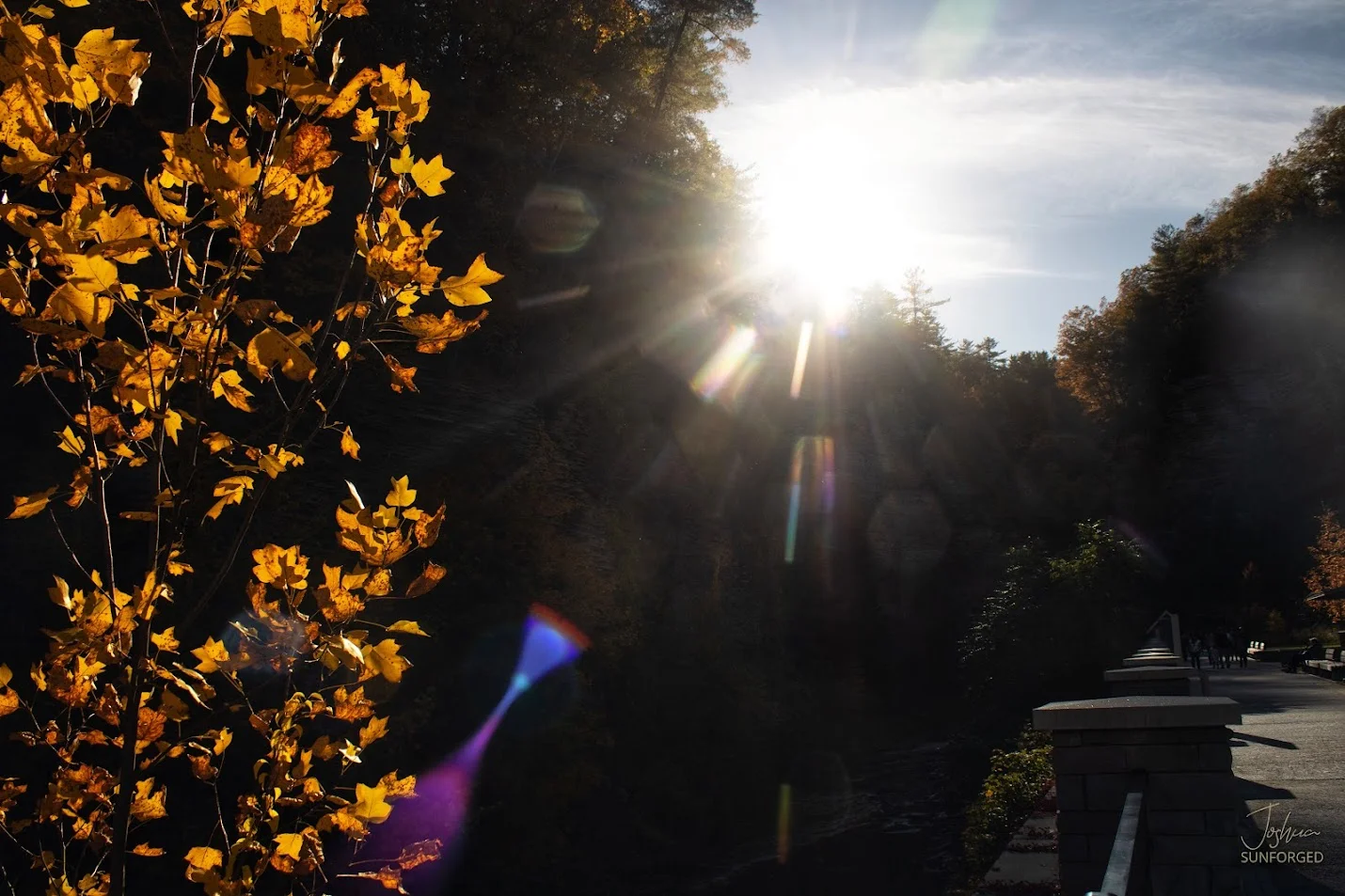 Watkins Glenn Entrance