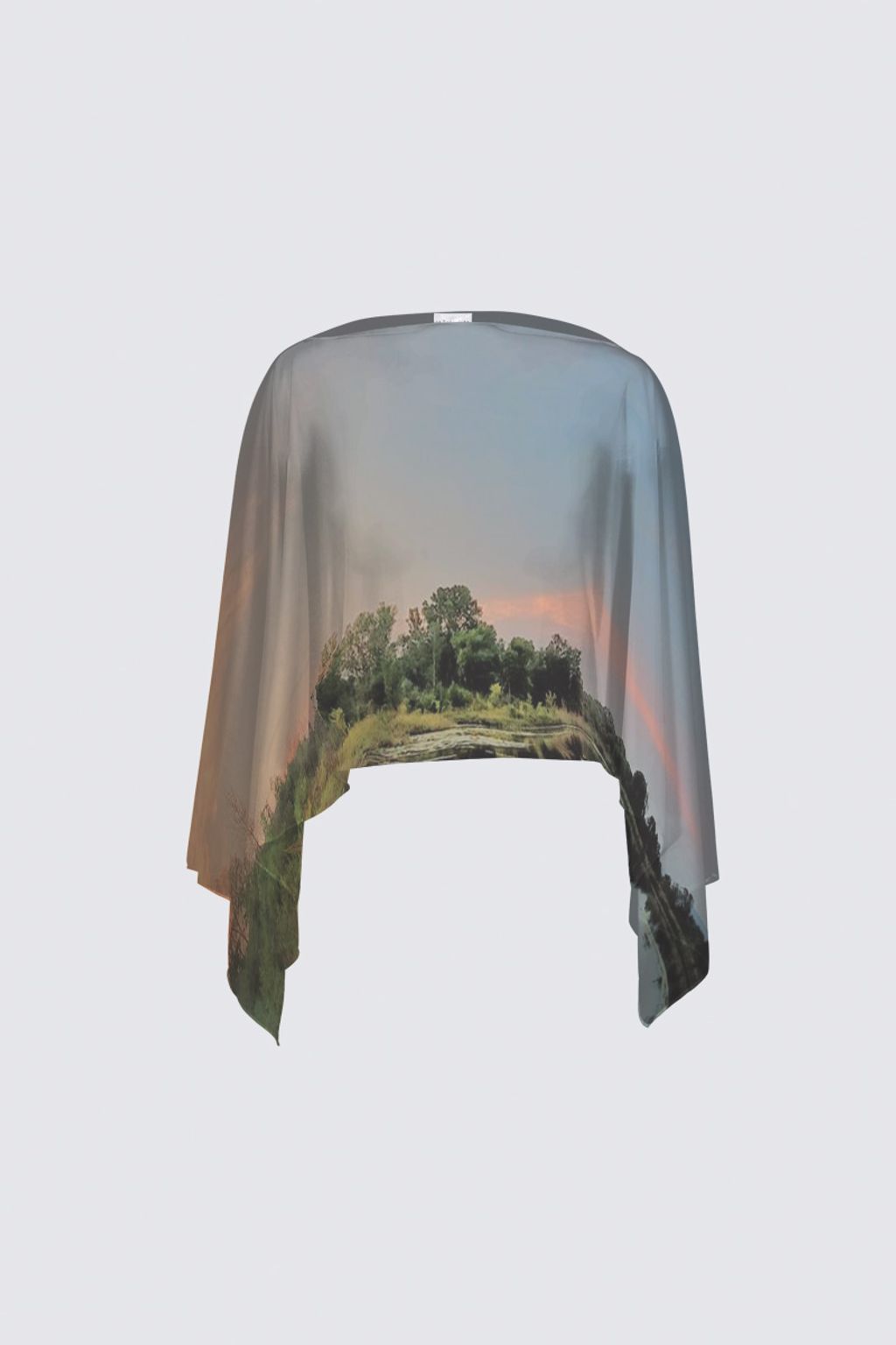 Mirror Of Life Claudia Shawl