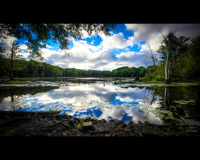 The Spring 2026 Trail