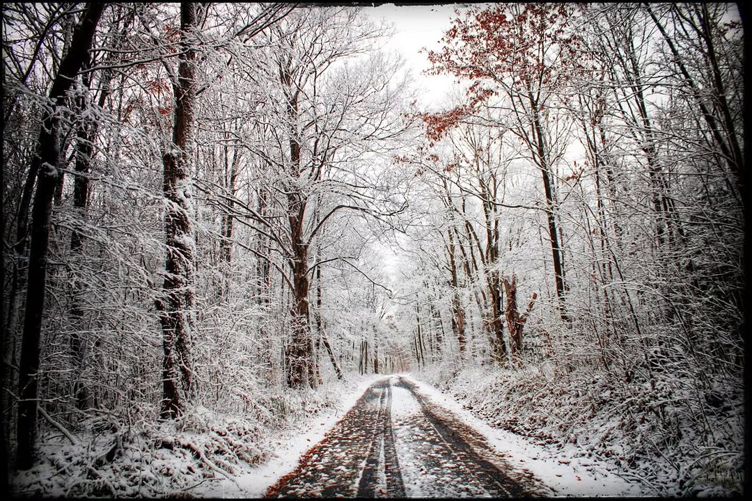 Winter in the Shade